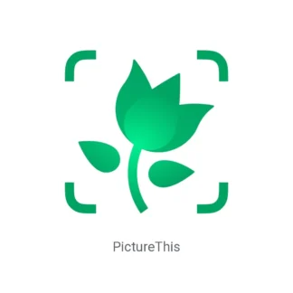 اکانت PictureThis پیکچر‌دیس