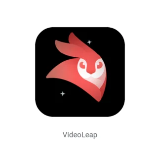 اکانت VideoLeap ویدیو لیپ