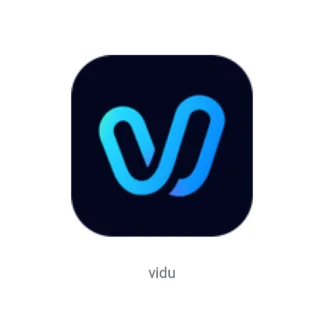 اکانت vidu